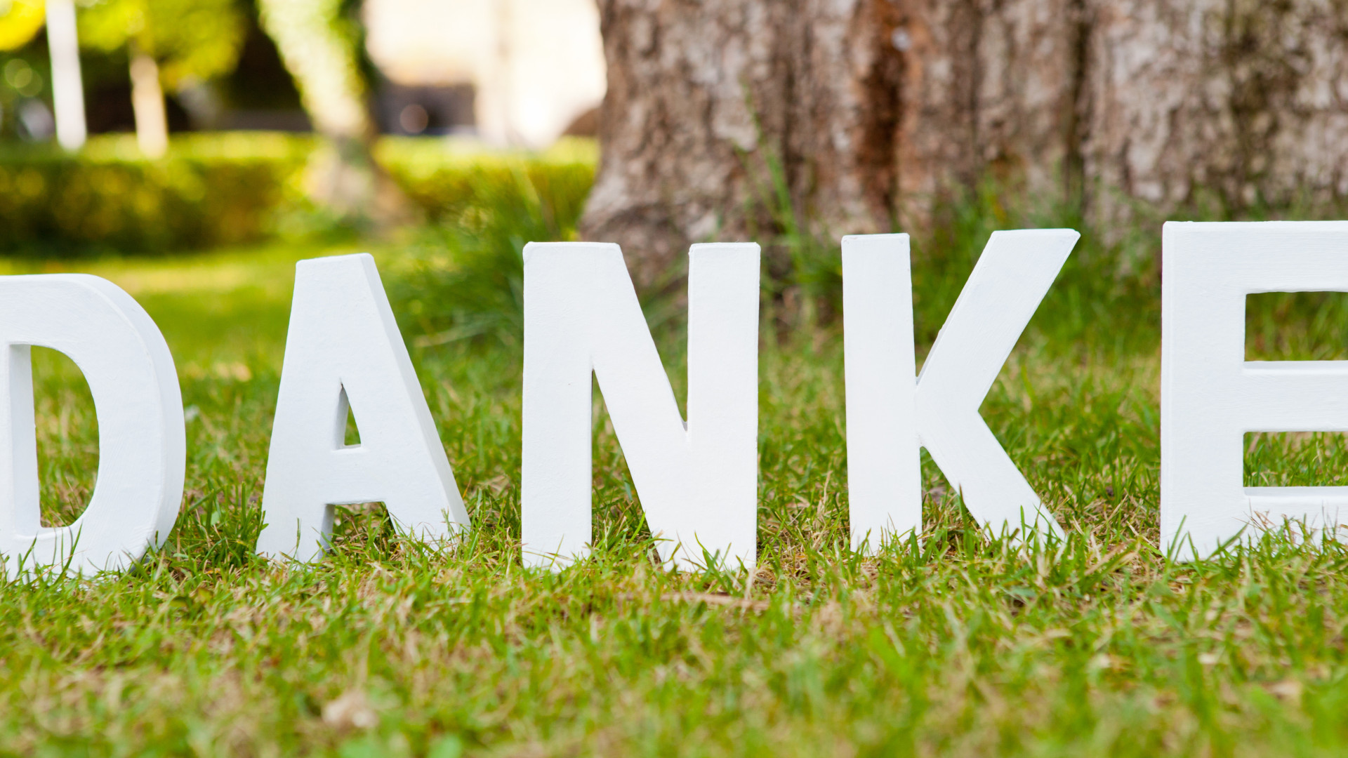 AdobeStock_43756625 @Esther Hildebrandt-4587x2580.jpeg